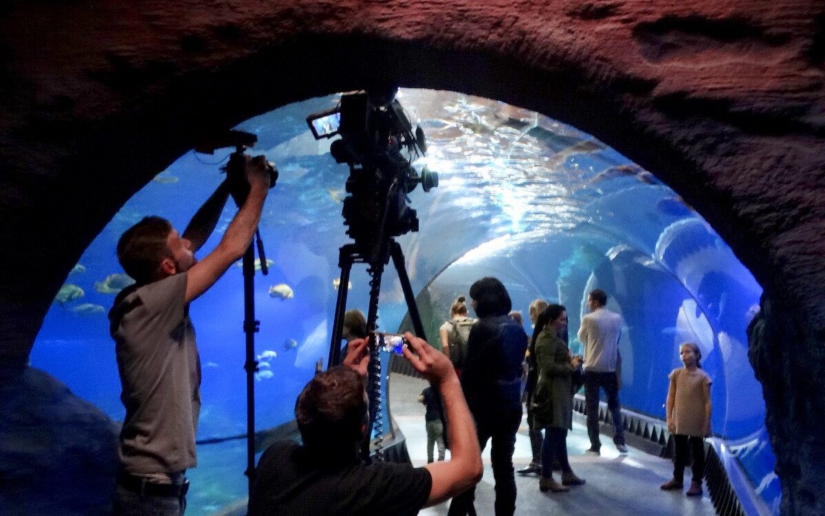 Na planie “Sług wojny” w Afrykarium we Wrocławiu. Fot. WFDiF
