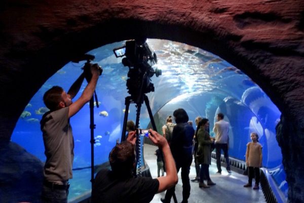 Na planie “Sług wojny” w Afrykarium we Wrocławiu. Fot. WFDiF