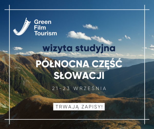 grafika_wizyta